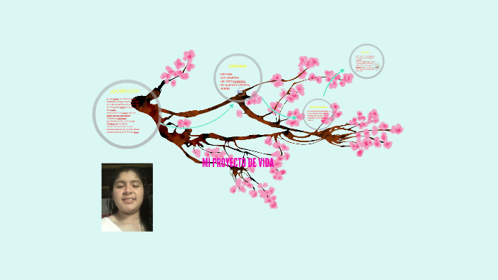 MI PROYECTO DE VIDA by Maria del Carmen Apolo Valladares on Prezi