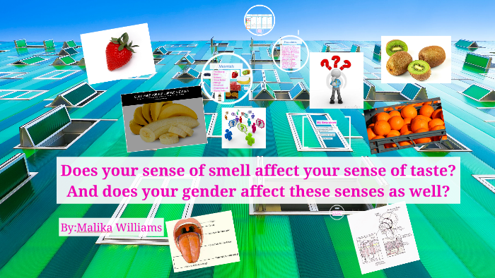 how-does-smell-affect-taste-by-malika-williams