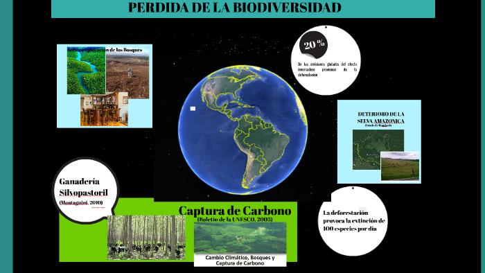 DETERIORO DE LA SELVA AMAZONICA by on Prezi