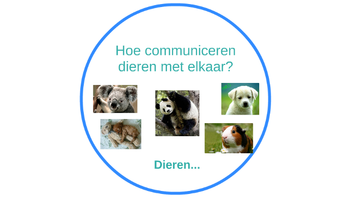 Hoe Communiceren Dieren Met Elkaar