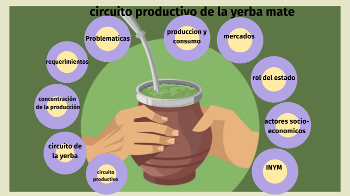 Producción & Circuito Productivo de la Yerba Mate