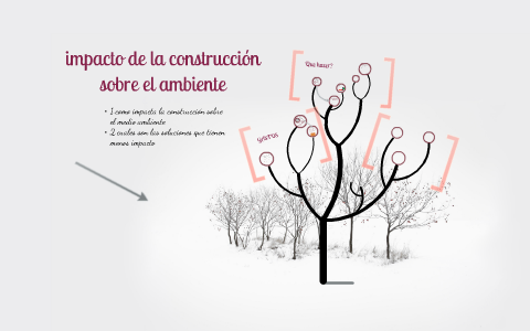 environmental impact of construction by vanessa pierre on Prezi