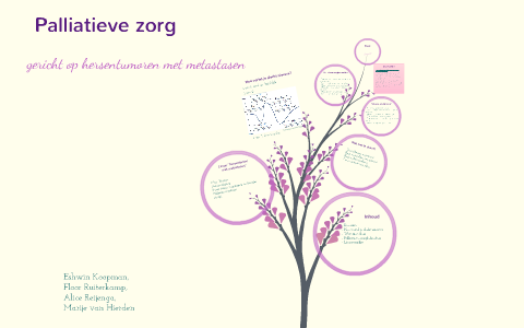 Palliatieve Zorg By Marije Van Hierden On Prezi