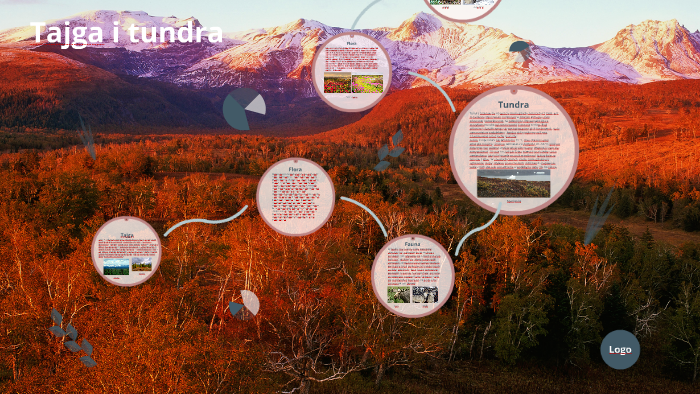 Klasa 6 Przyroda Sprawdzian Tundra Tajga Nowa Era prezi.com