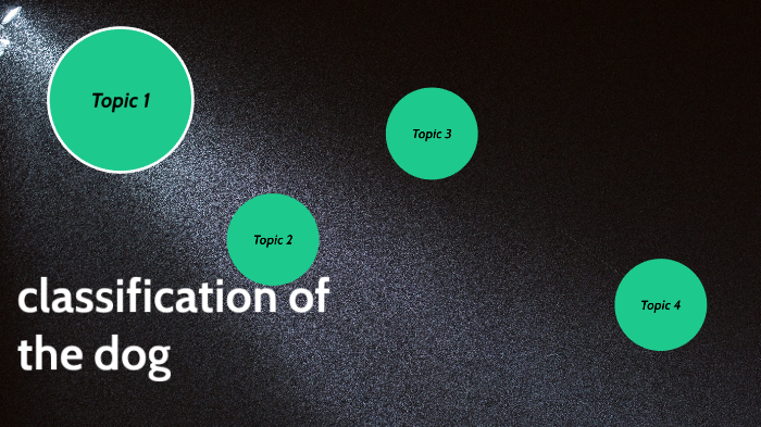 Classification Project by Jaquana Mcdonald on Prezi