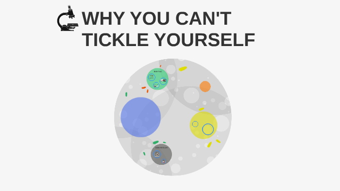 Why You Can T Tickle Yourself By Ginny Li On Prezi Why You Can T Tickle Yourself By Ginny Li On Prezi