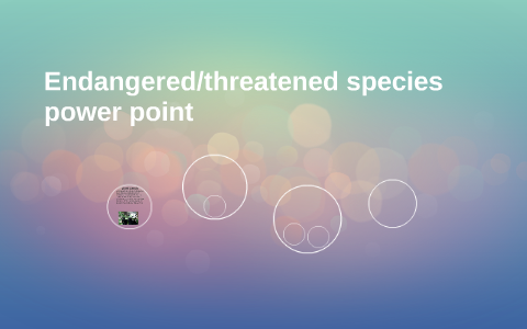 Endangered/threatened species power point by kenneth lippert on Prezi