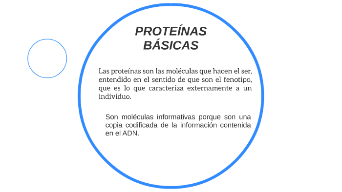 PROTEÍNAS BÁSICAS by Elizabeth Almazan on Prezi
