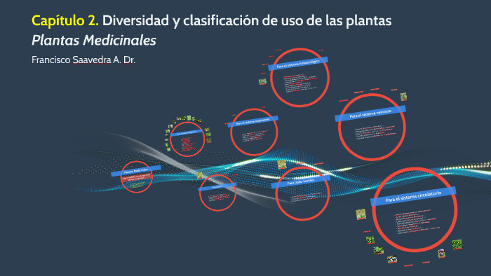 Capitulo 2 Diversidad Y Clasificacion De Uso De Las Plantas By