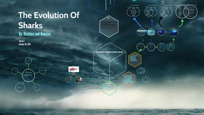 The Evolution Of Sharks by on Prezi