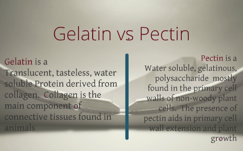 Gelatin Vs Pectin By Judah Banning