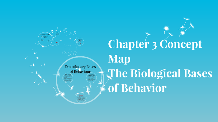 Chapter 3 Concept Map by Josh Lee on Prezi