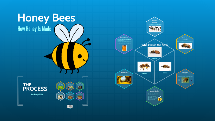 Honey Bees by on Prezi