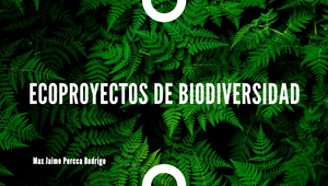 ECOPROYECTOS DE BIODIVERSIDAD by Max Jaime Percca Rodrigo on Prezi Design