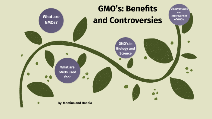 GMO's: benefits and controversies by haania waseem on Prezi