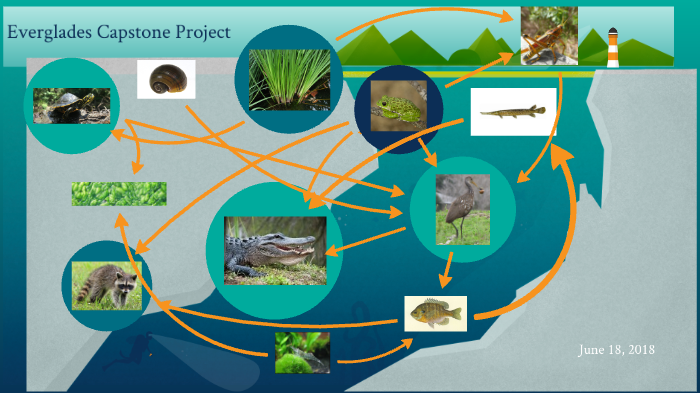 What is capstone image