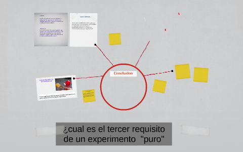 ¿cual es el tercer requisito de un experimento "puro" by ana maria