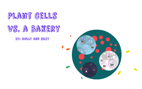 Plant Cell vs. A Bakery by Molly Winer on Prezi