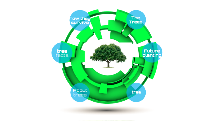 trees by Newham School on Prezi