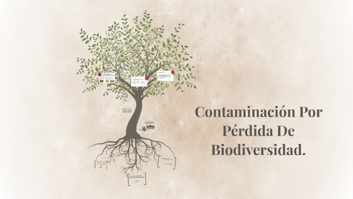 contaminacion por perdida de biodiversidad. by Fernando Marquez