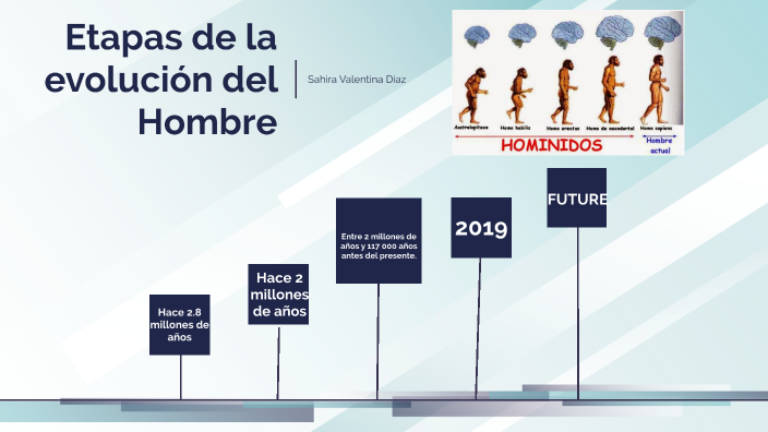Evolucion Del Hombre Etapas – Evolución De La Humanidad – BUFUUN