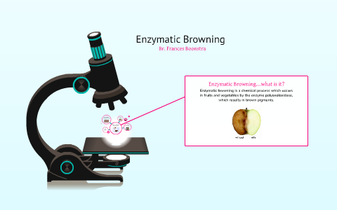 enzymatic browning experiments