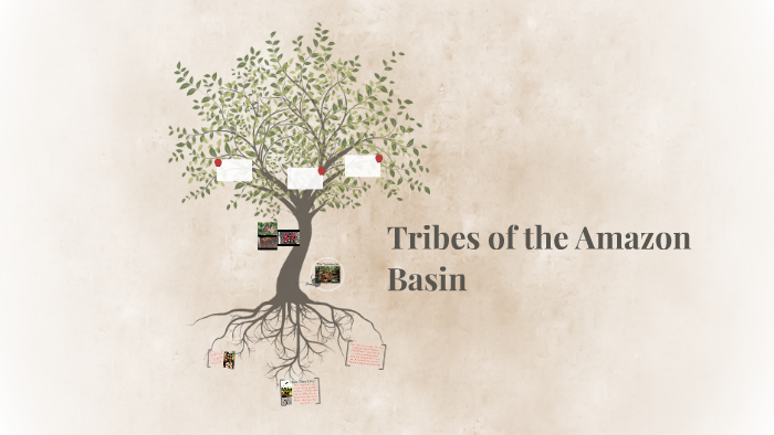 Tribes of the Amazon Basin by heaven harris on Prezi