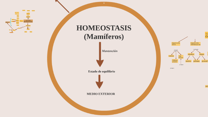 ANATOMÍA Y FISIOLOGÍA DE MAMÍFEROS by Ld Mar