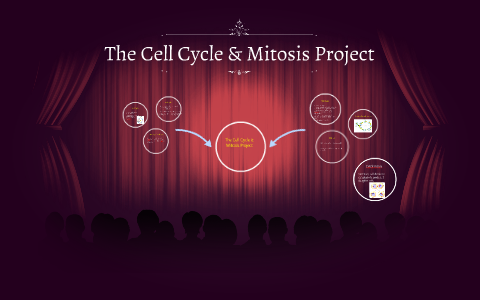 The Cell Cycle & Mitosis Project by Angel Self on Prezi