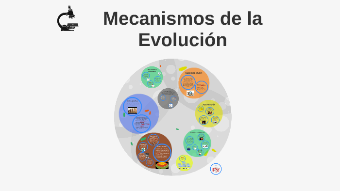 Mecanismos De La Evolución By Faride Radillo Manrique On Prezi