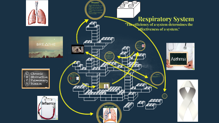 The Respiratory system by Keegan Weddle on Prezi