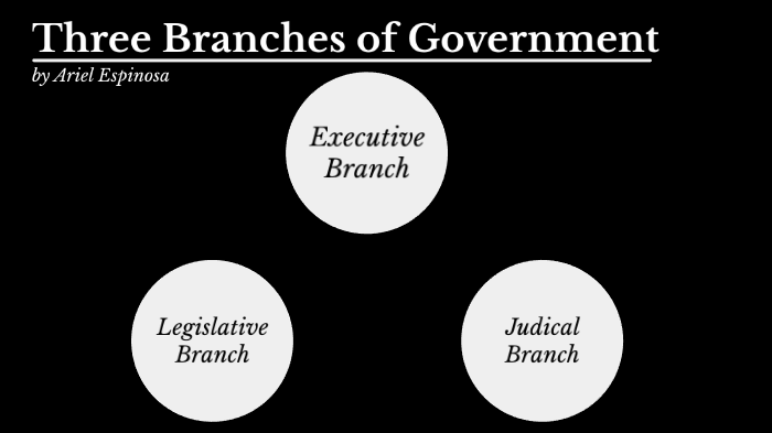 what essay outline the separation of powers and checks and balances