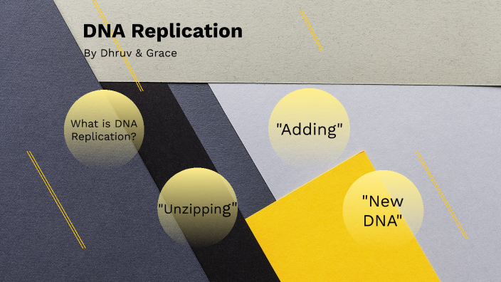 DNA Replication by Grace Lee on Prezi