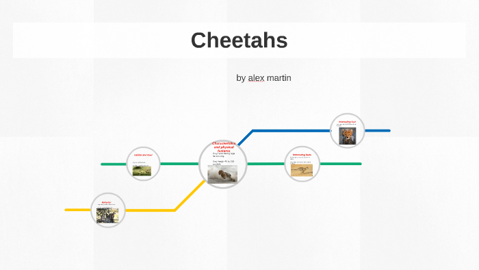 alex by on Prezi