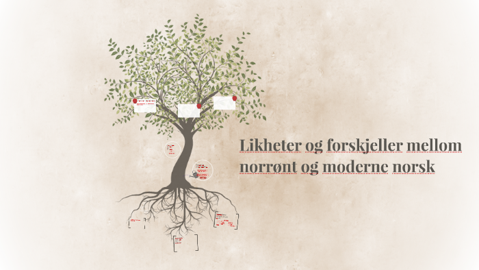 Likheter Og Forskjeller Mellom Norrønt Og Moderne Norsk By Sofie ...