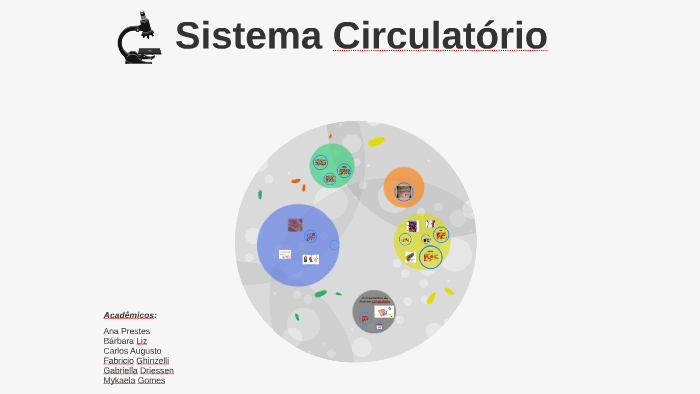 Sistema Circulatorio By Mykaela Gomes