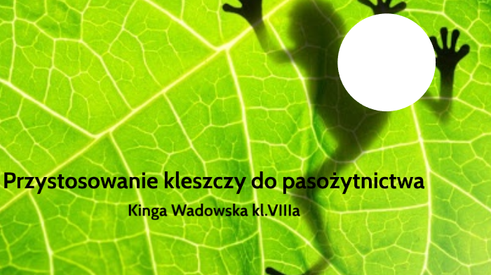 Przystosowanie Do Pasożytnictwa Przystosowanie do pasożytnictwa dowolnie wybranego gatunku