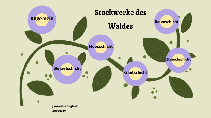 Stockwerke Des Waldes By Janne Grafingholt