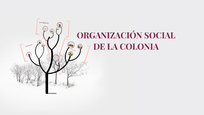 ORGANIZACIÓN SOCIAL DE LA COLONIA by Miss Nataly