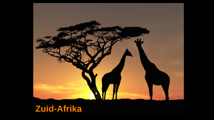 Regio in beeld: Zuid-Afrika by Marcia Tax