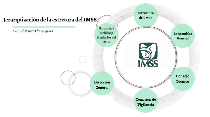 Estructura Del Imss Bienestar - Image To U