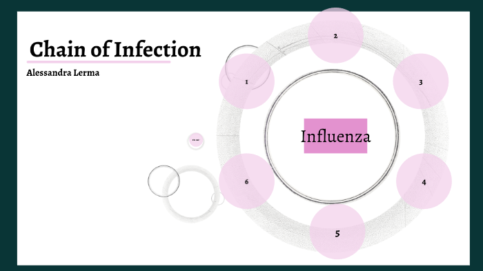 Chain of Infection: Influenza by alessandra lerma on Prezi Next