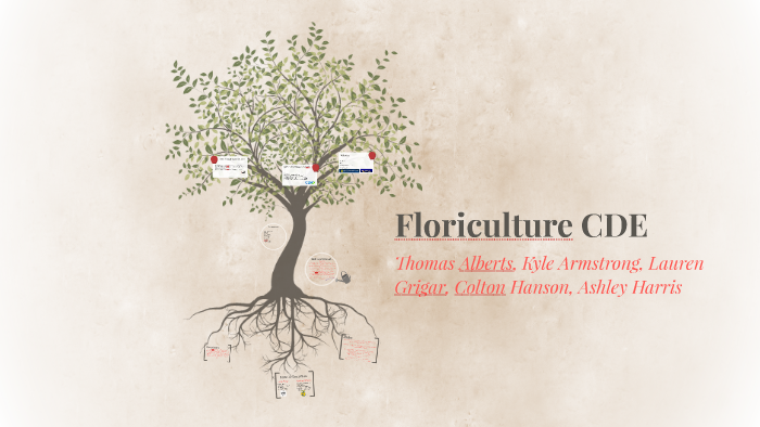 Floriculture CDE By Lauren Grigar On Prezi