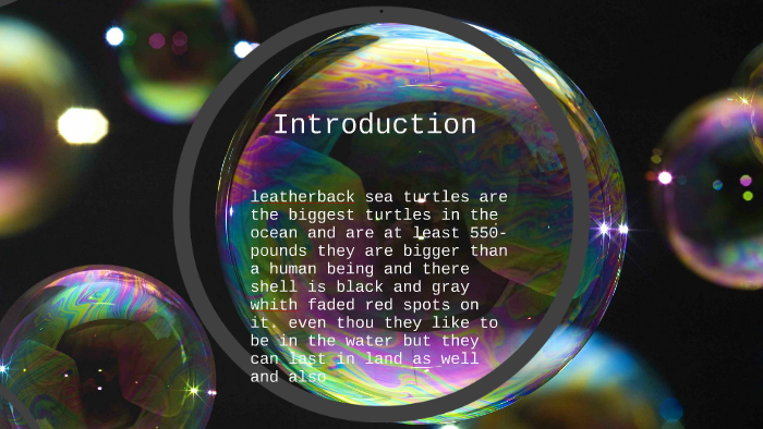 Leatherback sea turtles by Danise Davis on Prezi