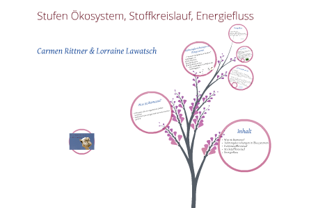 ÖKOLOGIE - Stufen Ökosystem, Stoffkreisläufe, Energiefluss by L L on Prezi