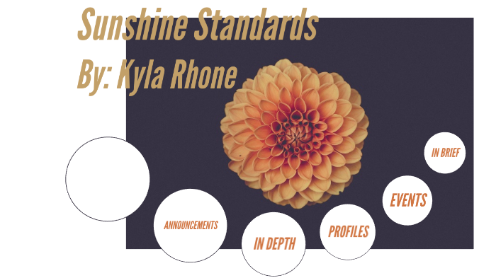 sunshine-state-standards-by-kyla-rhone