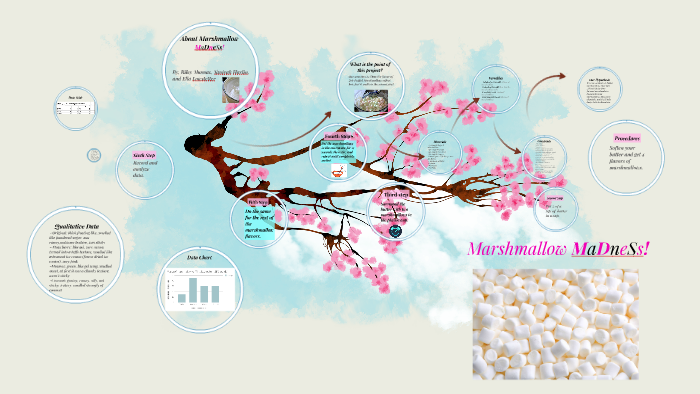 About The Marshmallow Project by on Prezi