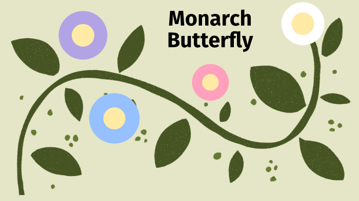 Monarch Butterfly Ecosystem by Shaunee Milward