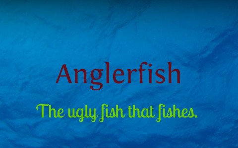 Anglerfish: The ugly fish that fishes. by Romaney Granizo-Mackenzie on ...
