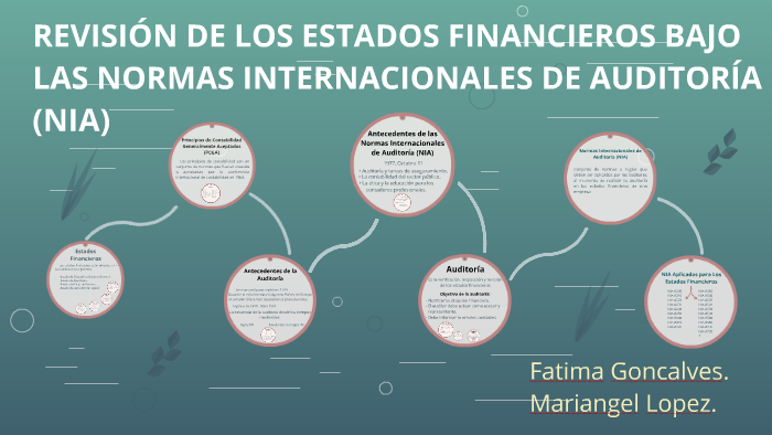 Objetivo De La Revision De Los Estados Financieros